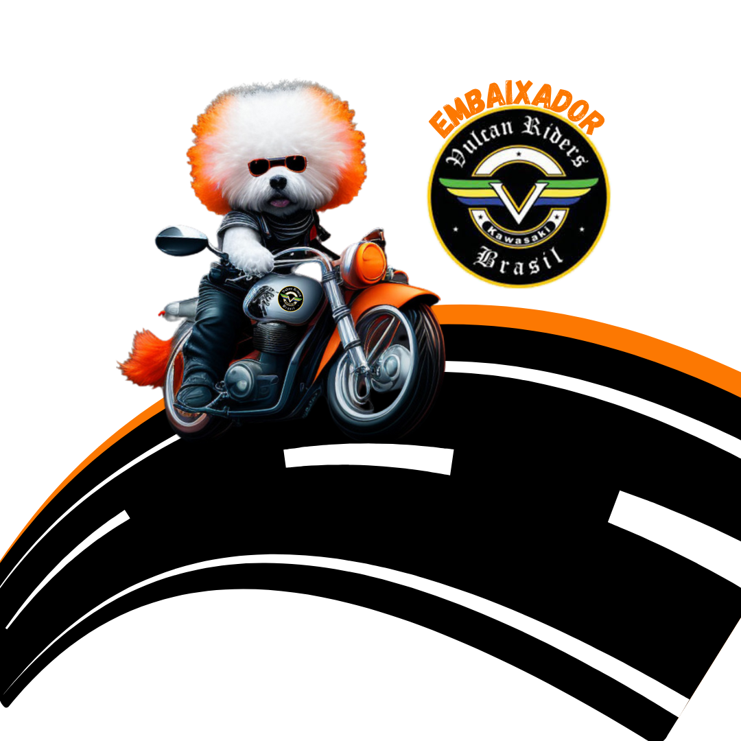 Tadeu Bichon Frisé